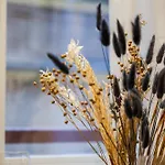 Apartment Residenze Coltellini Cobalto