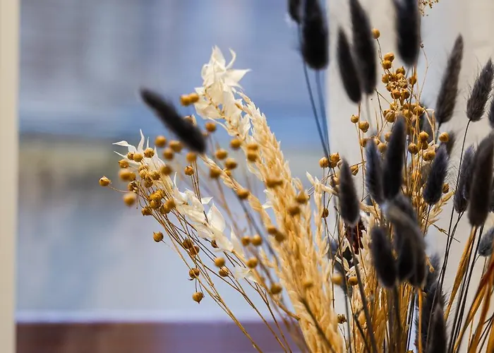 Apartment Residenze Coltellini Cobalto